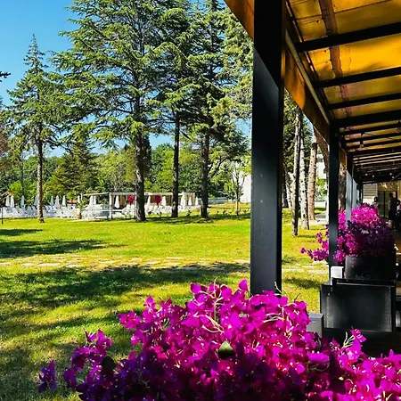 Queen Nelly Park Hotel