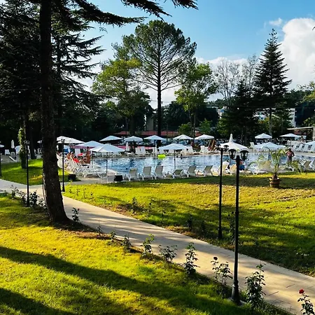 Hotel Queen Nelly Park