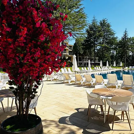 Queen Nelly Park Hotel