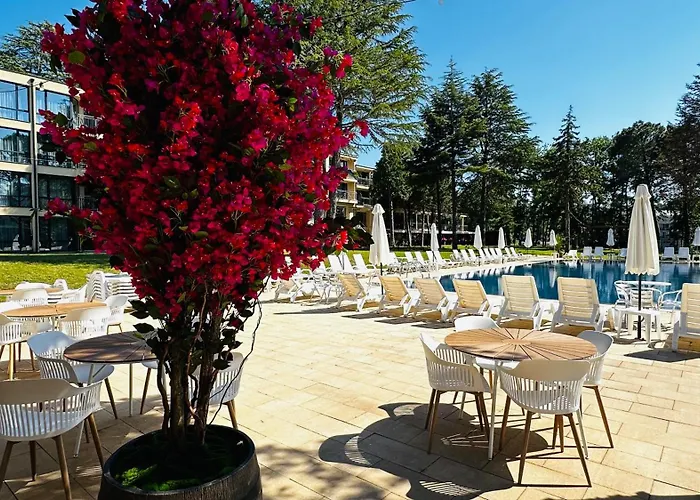 Queen Nelly Park فندق