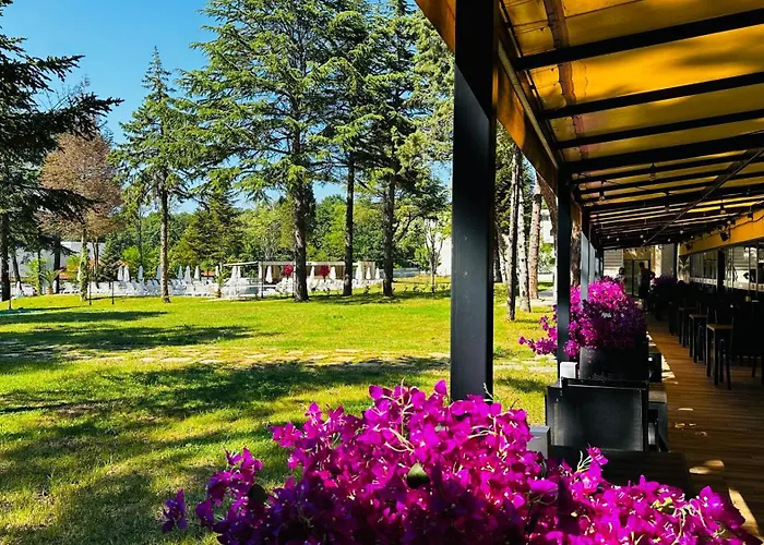 Queen Nelly Park فندق